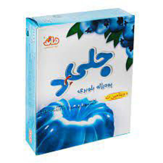تصویر از دراژه پودر ژله بلوبری 100گ