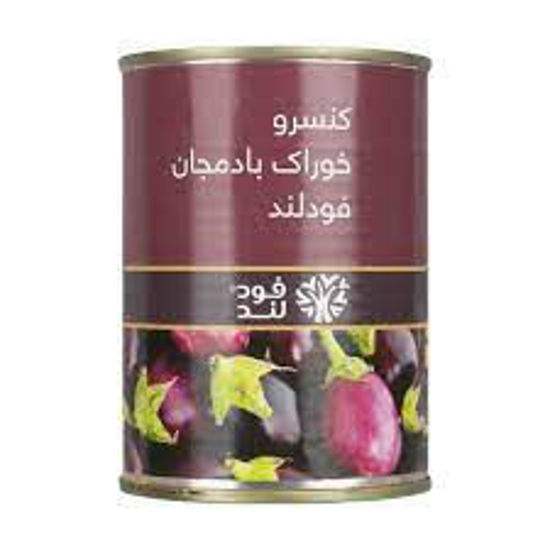 تصویر از فودلند کنسرو خوراک بادمجان قوطی 380گ