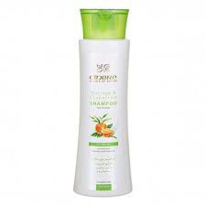 تصویر از سینره شامپو مخصوص موهای چرب250م