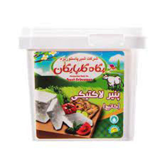 تصویر از پگاه گلپایگان پنیر لاکتیکی 400گ
