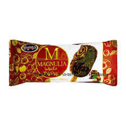 تصویر از دومینو بستنی مگنولیا چوکوتلا