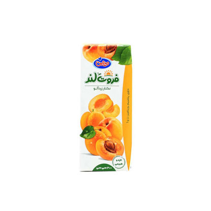 تصویر از میهن فروت لند نکتار زردآلو 200م