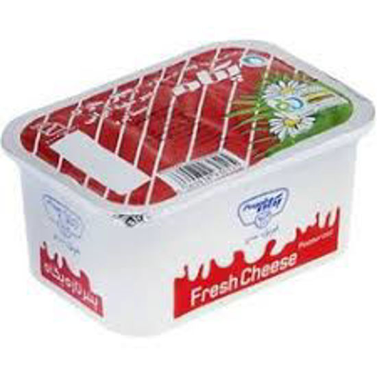 تصویر از پگاه پنیر سفید 400گ