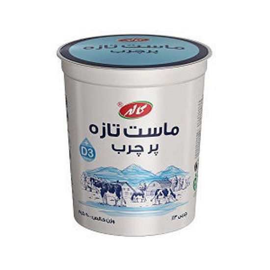 تصویر از کاله ماست تابستان پر چرب 900گ