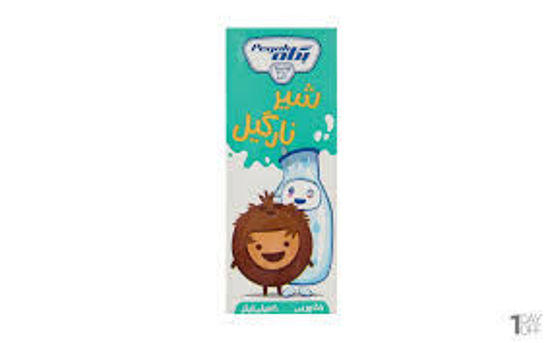 تصویر از پگاه شیر نارگیل 200م