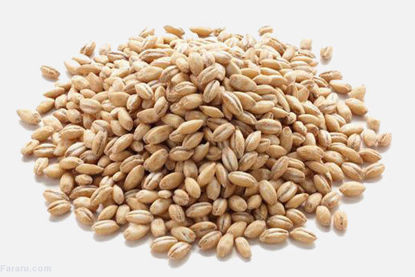 تصویر از گندم حلیم درجه یک فله