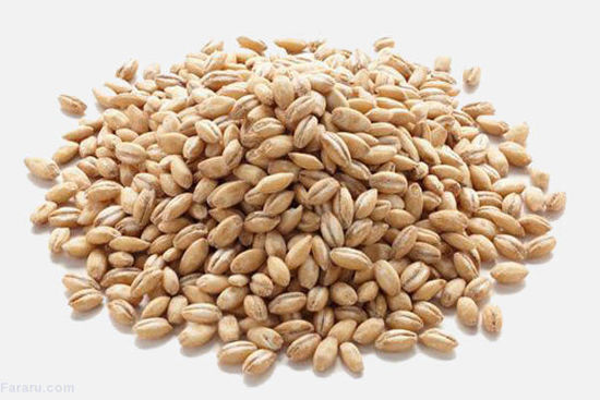 تصویر از گندم حلیم درجه یک فله